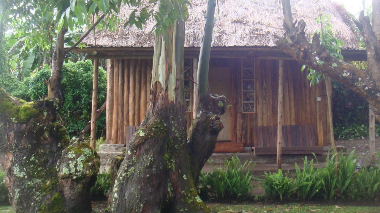 Kalitusi Nature Resort Fort Portal Zewnętrze zdjęcie